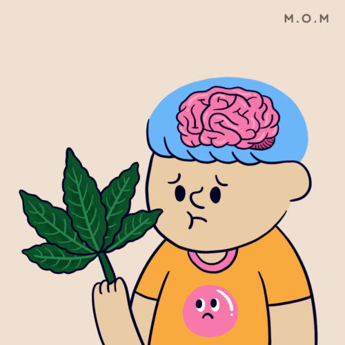 cannabis_web_1